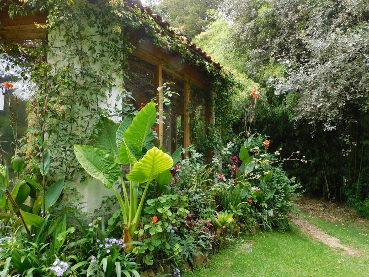 San Nicolas By Rotamundos San Cristóbal de Las Casas 外观 照片