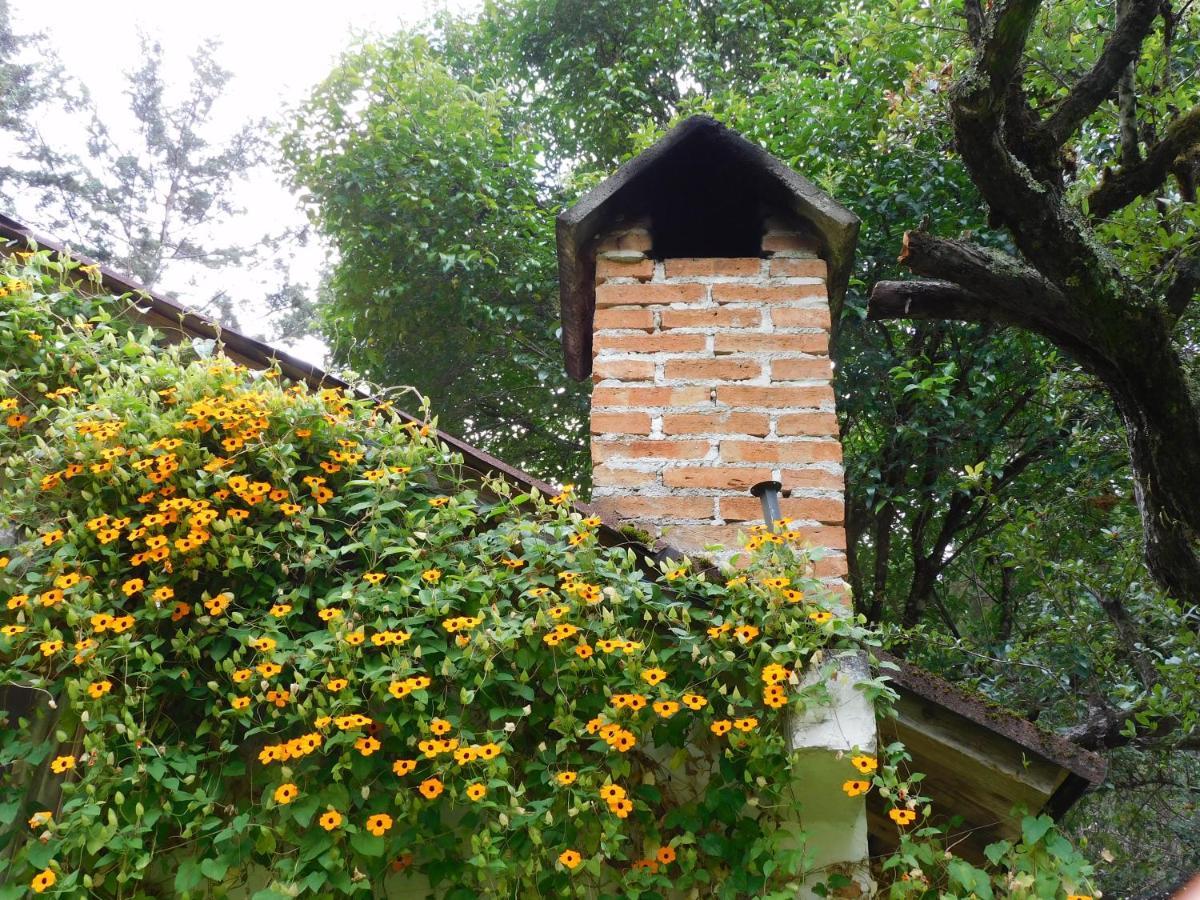 San Nicolas By Rotamundos San Cristóbal de Las Casas 外观 照片