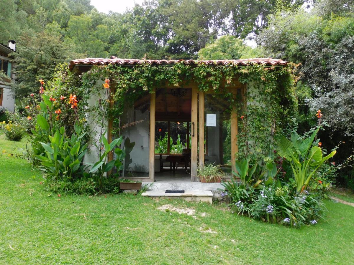 San Nicolas By Rotamundos San Cristóbal de Las Casas 外观 照片